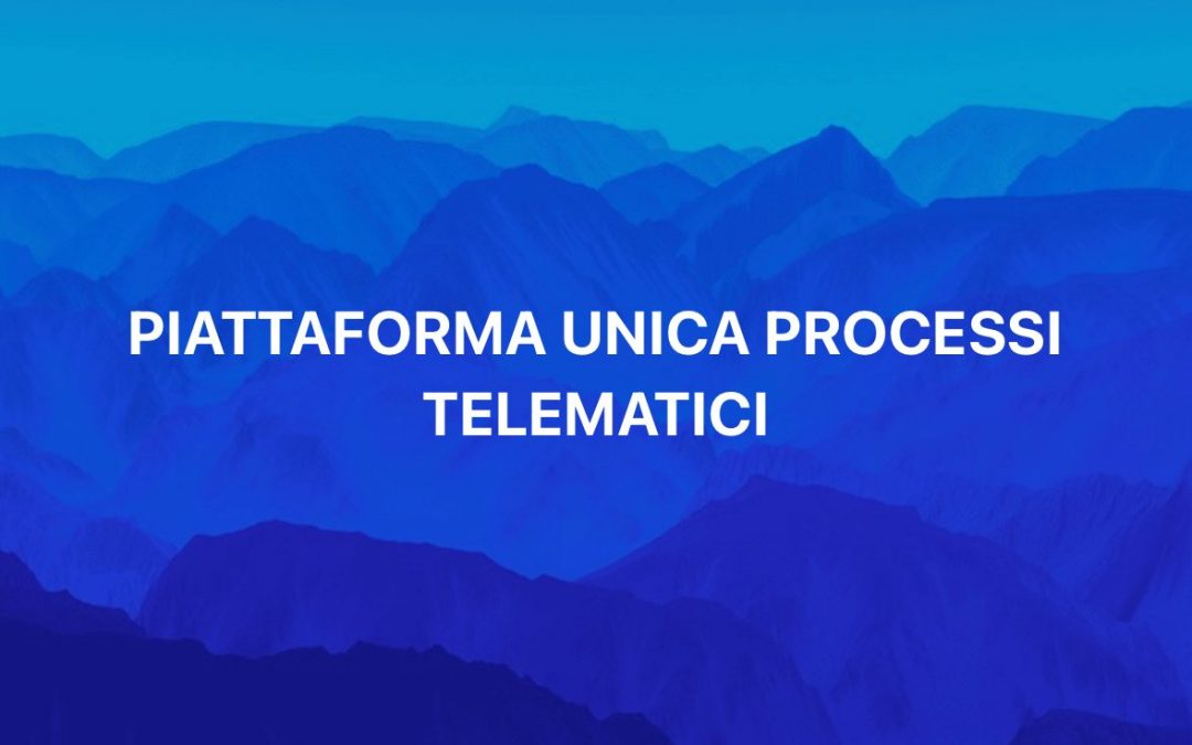 Serve una Piattaforma Unica per i Processi Telematici